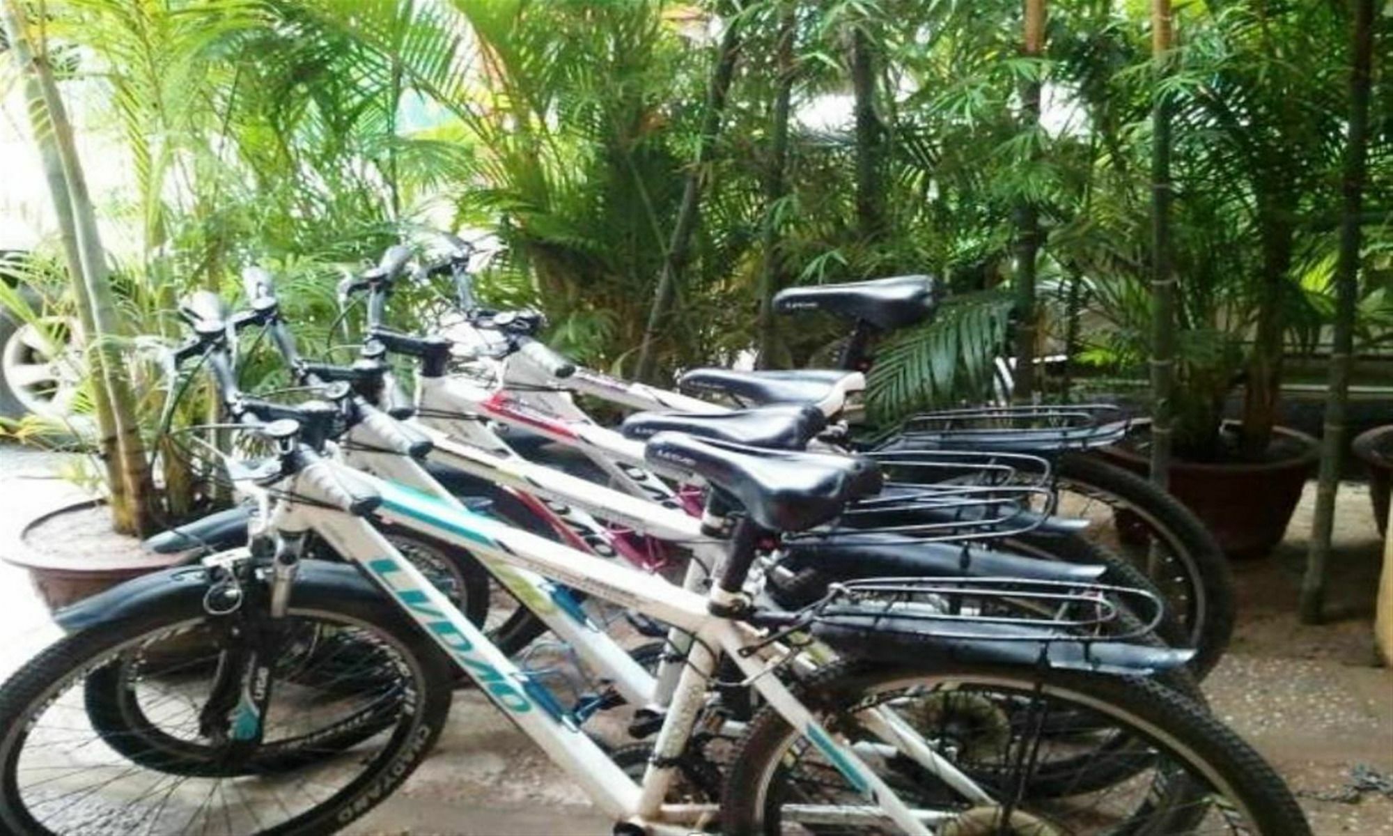 The Cyclo Siem Reap Hotel Exterior photo